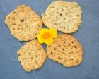 Tuiles au parmesan