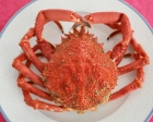 Cuisson de l'araignÃ©e de mer