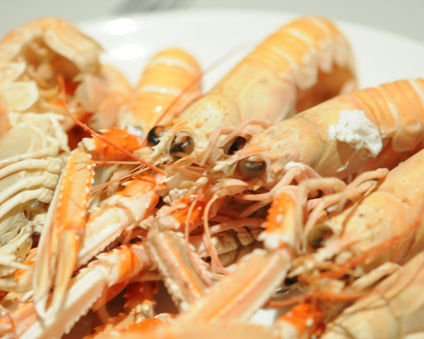 Recette de cuisine : Cuisson des langoustines