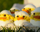 Poussins de pÃ¢ques