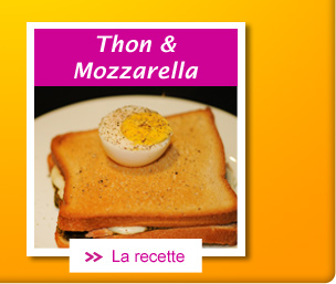 Croque au thon et mozzarella