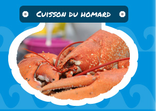 Cuisson du Homard