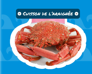 Cuisson de l'araignée de mer