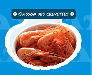 cuisson des crevettes roses (bouquets)