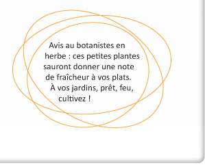 Prêt à 