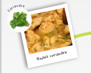 Poulet coriandre