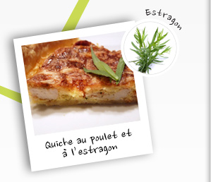 Quiche au poulet et  l'estragon