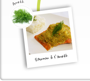 Saumon gratiné à l'aneth