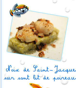 Noix de Saint-Jacques sur sont lit de poireaux  
