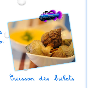 Cuisson des Bulots