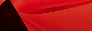 saint-valentin
