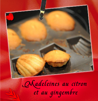 madeleines au citron et au gingembre 